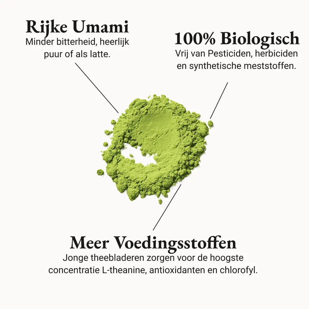 Ceremoniële Matcha